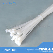 Attache-câbles en plastique Nylon (YL-T4X250)